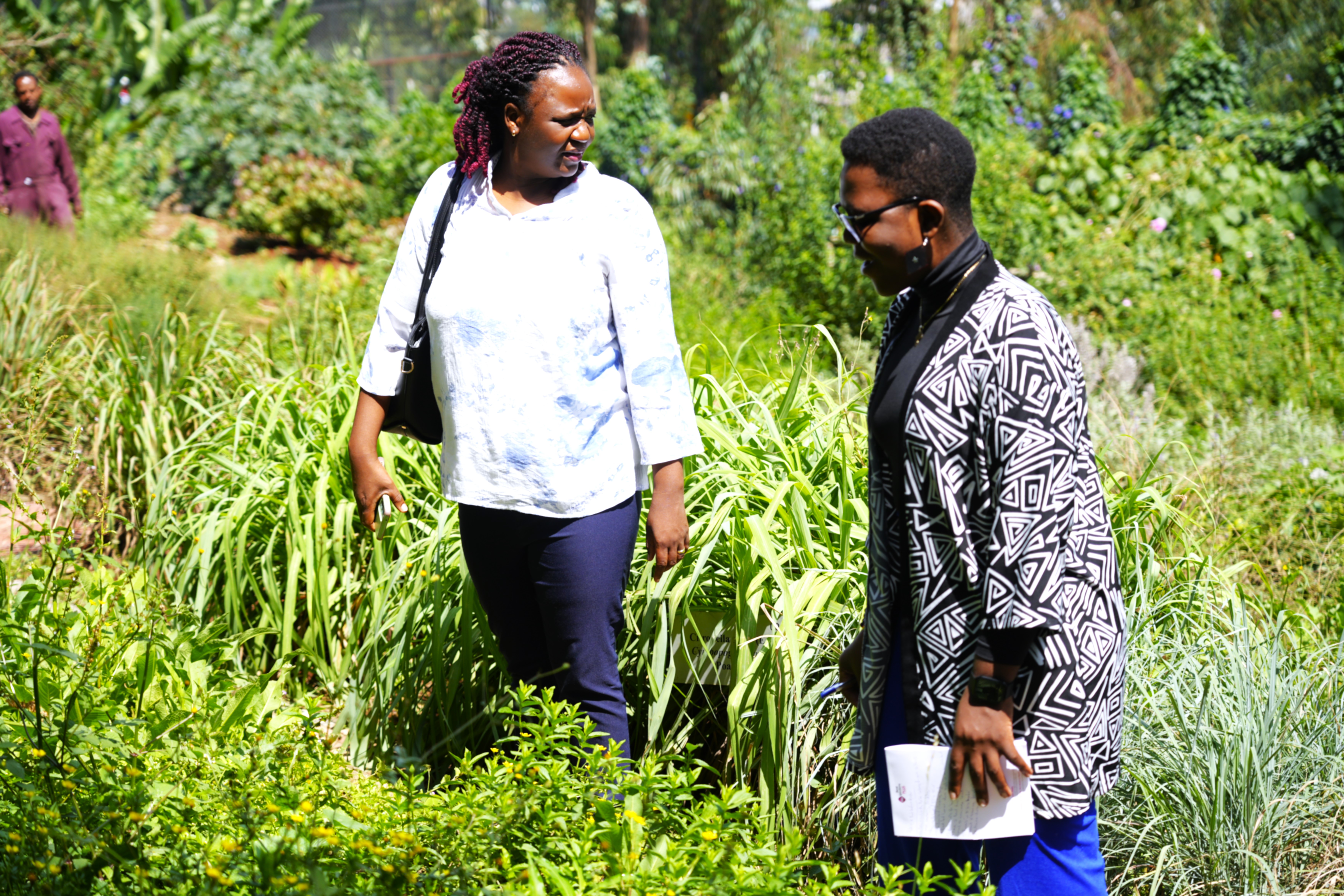 The Future of AI in Public Health: Lessons from Africa CDC